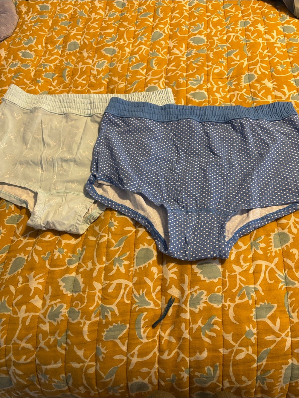 Target Colsie Underwear Boyshort Panties Lot Blue